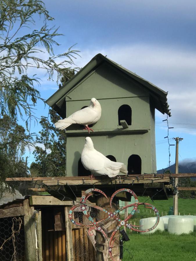 Morepork Rural Oasis Aongatete Exterior foto